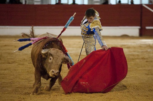 Todo un novillo toro, toro, el de Brazuelas